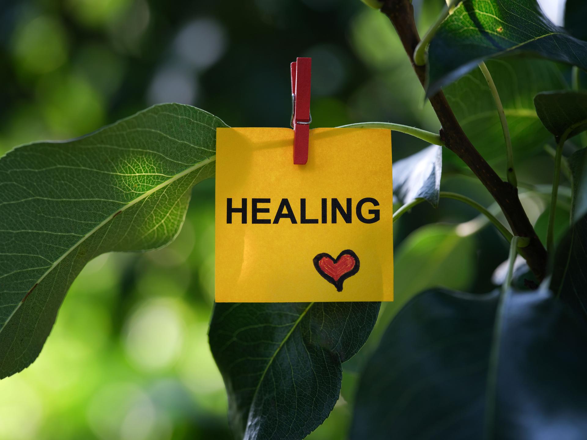 A yellow paper note with the word Healing on it attached to a tree branch with a clothes pin