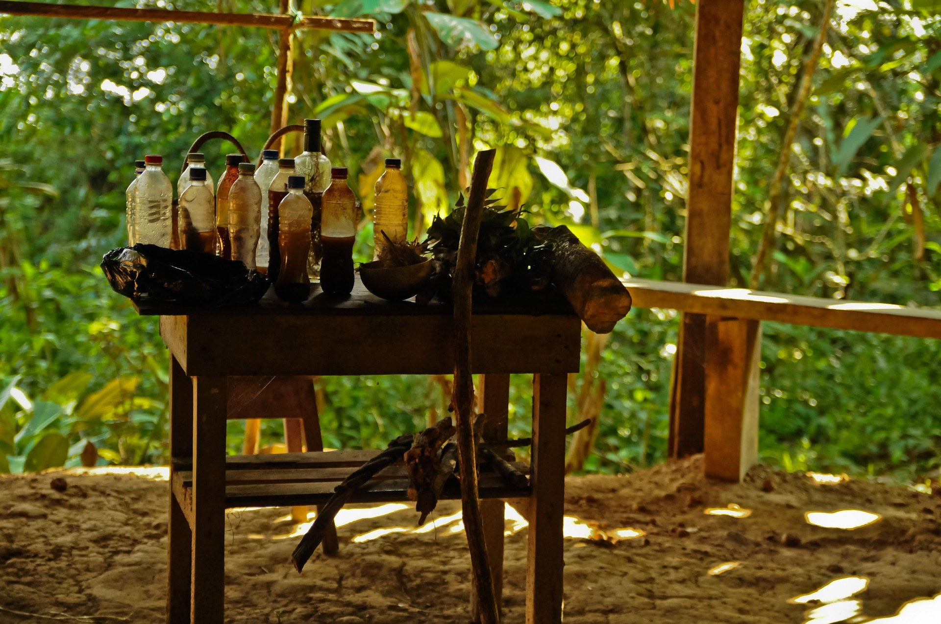 Shaman's Medicine Cabinet, Amazon Rainforest, Peru