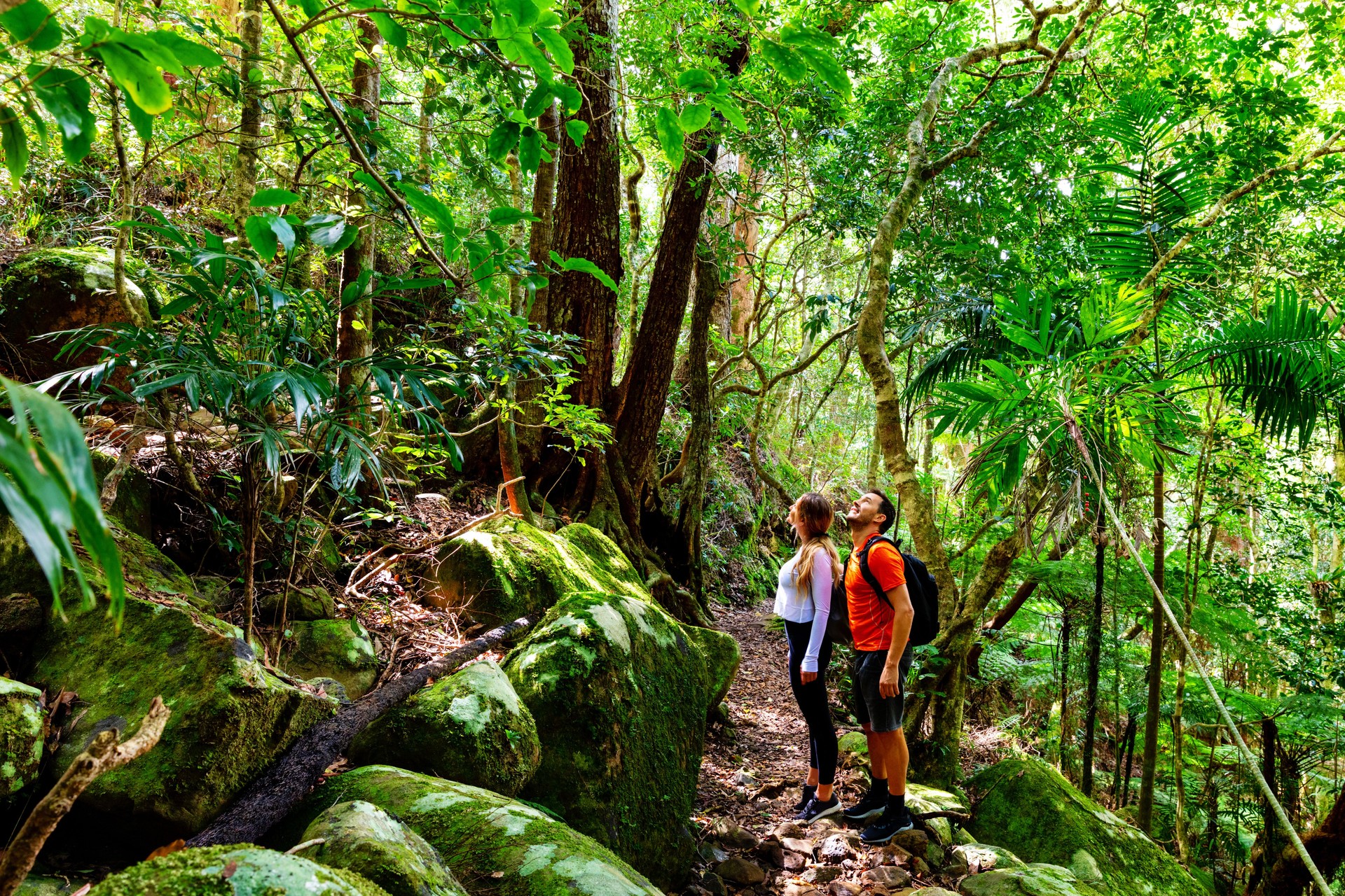 Couple exploring in the lush Lamington National Park, Queensland